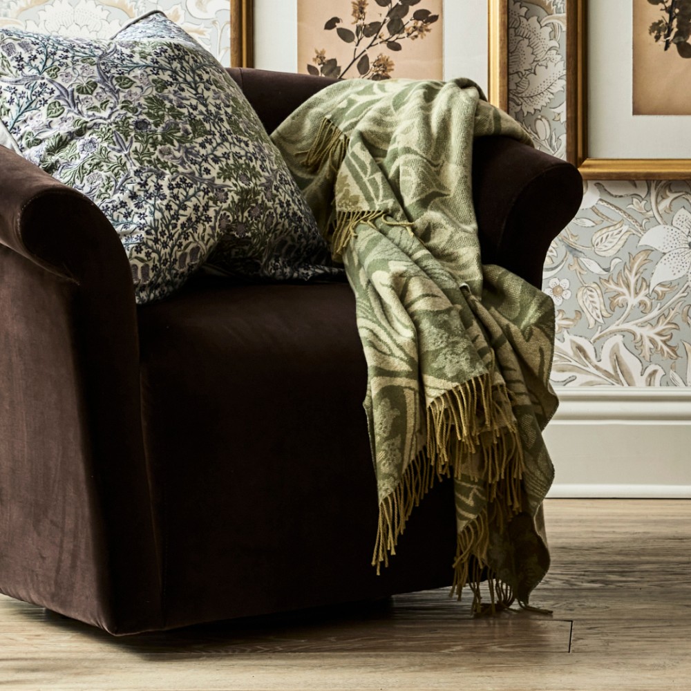 Williams Sonoma Cashmere Throw