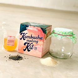 DIY Green Tea Kombucha Making Kit
