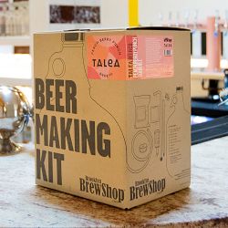 DIY TALEA Peach Berry Punch Beer Making Kit