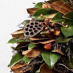 Magnolia Lantern Live Wreath &amp; Garland