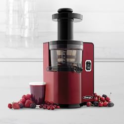 Omega Vertical Masticating Juicer