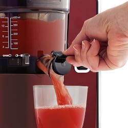 Omega Vertical Masticating Juicer
