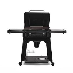 Traeger Flatrock® 2 Zone Gas Griddle