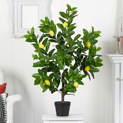 Faux Lemon Tree, 3'