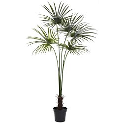 UV Resistant Faux Fan Palm Tree, 84"