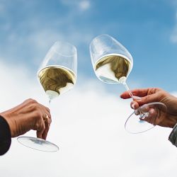 Riedel Veloce Sauvignon Blanc Wine Glasses, Buy 3, Get 4