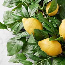 UV Protected Faux Lemon Wreath, 28"