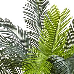 UV Resistant Faux Cycas Tree, 36"