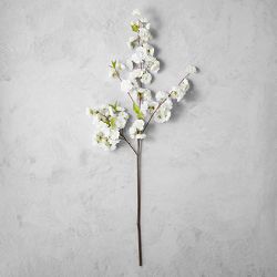 Williams Sonoma Faux Floral Branch Stem, White Blossom