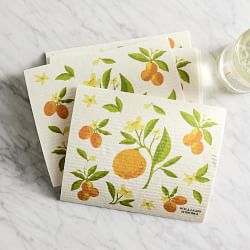 Citrus Sponge Dishclothes, Set of 3
