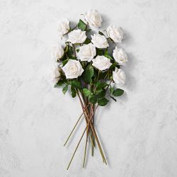 Jeff Leatham x Williams Sonoma Real Touch Faux Playa Blanca Rose Stems, Set of 12