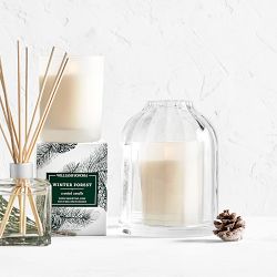 Williams Sonoma Glass Candle Cloche