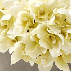 Jeff Leatham x Williams Sonoma Faux White Cymbidium Orchid in Oval Bowl