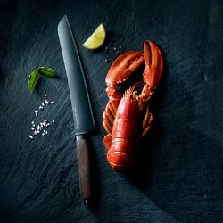 WÜSTHOF Limited Edition Aeon Super Slicer Knife, 10"