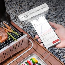 Typhur Sync Wireless Meat Thermometer