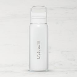 LifeStraw Go Series Stainless Steel Water Filter Bottle, Polar White