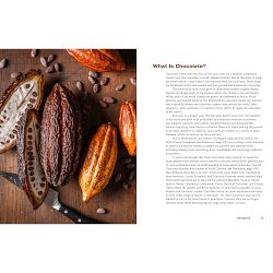 David Lebovitz: The Great Book of Chocolate, Revised