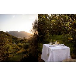 Chloe Crane-Leroux: The Artful Way to Plant-Based Cooking