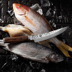 Shun Premier Boning Knife, 6"