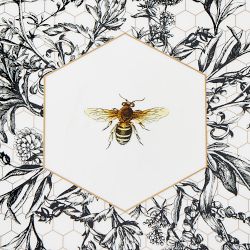 Honeycomb Shaped Cheeseboard and Honeycomb Spreaders