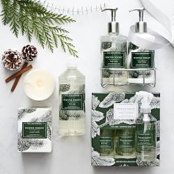 Williams Sonoma Winter Forest Dish Soap