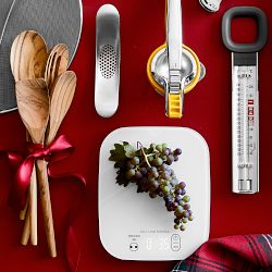 Williams Sonoma Easy-Read Candy Thermometer