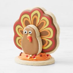 Williams Sonoma Turkey Iced Cookie