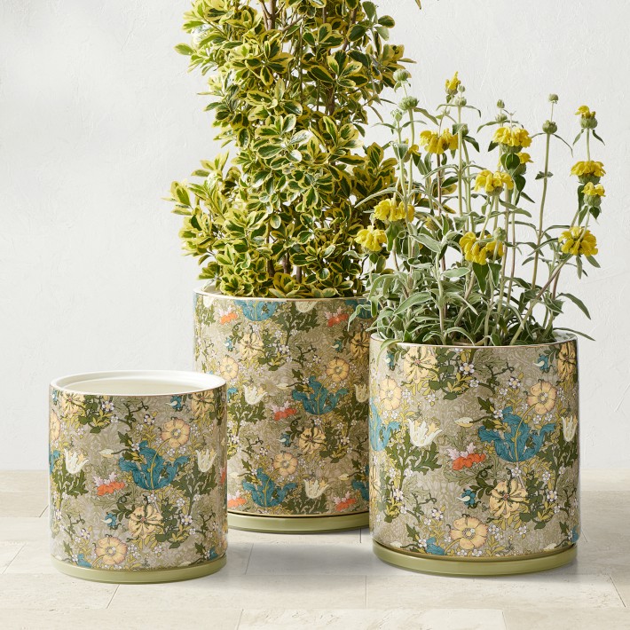 Morris and Co Cotswold Collection | Williams Sonoma