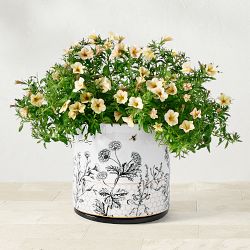 OPEN BOX:Honeycomb Ceramic Planter, Medium