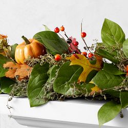 Fall Pumpkin Live Wreath &amp; Garland