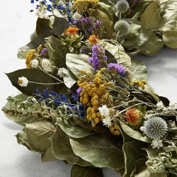 Painters Palette Live Wreath