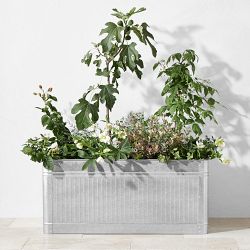 Vintage Galvanized Raised Planter, 40" x 18"