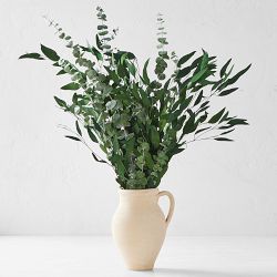 Green Eucalyptus Bunch