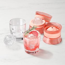 Zoku Daisy Ice Mold and Glasses Cocktail Gift Set
