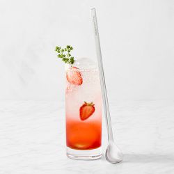 Williams Sonoma Signature Bar Spoon