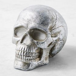 Pre-Lit Silver Skull