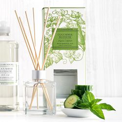 Williams Sonoma Cucumber Blossom Fragrance Diffuser