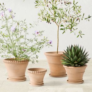 where to buy cheap plant pots Oaxaca Terracotta Planters  Clay Imports