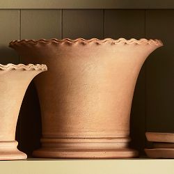 Williams Sonoma Terracotta Scallop Planter