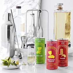 Williams Sonoma Encore Bar Double Wall Cocktail Shaker