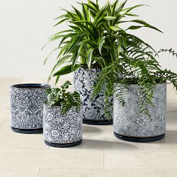 Morris &amp; Co. x Williams Sonoma Ceramic Planter Collection
