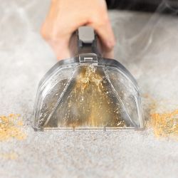 Bissell Little Green Hydrosteam Pet Portable Carpet Cleaner