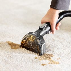 Bissell Little Green Hydrosteam Pet Portable Carpet Cleaner