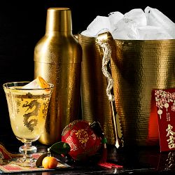 Williams Sonoma Encore Bar Double Wall Cocktail Shaker