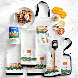 PEANUTS™ x Williams Sonoma Halloween Pumpkin Chocolate Chip Pancake &amp; Waffle Mix