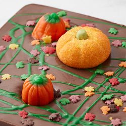 Pumpkin Patch Chocolate Bark