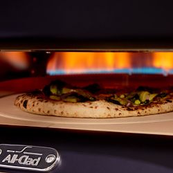 All-Clad Gas Powered Pizza Oven with Rotating Stone
