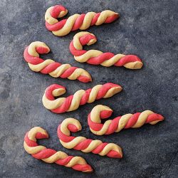 Williams Sonoma Test Kitchen Favorites Cookbook Boxed Set