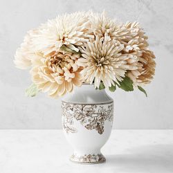 Cream Spider Mum Bundle