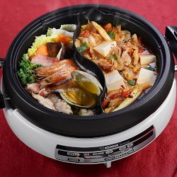 Zojirushi Gourmet d'Expert® Electric Skillet with Yin Yang Hot Pot